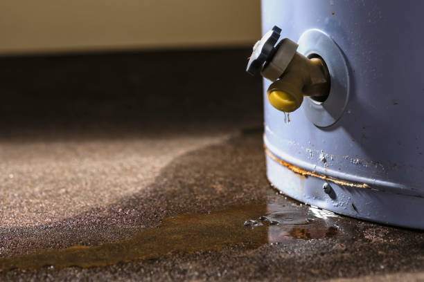 Best Mold removal after water damage  in Pittsville, MD