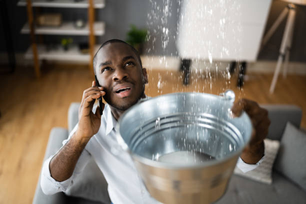 Best Water damage restoration company  in Pittsville, MD