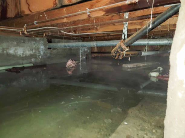 Best Residential water damage restoration  in Pittsville, MD