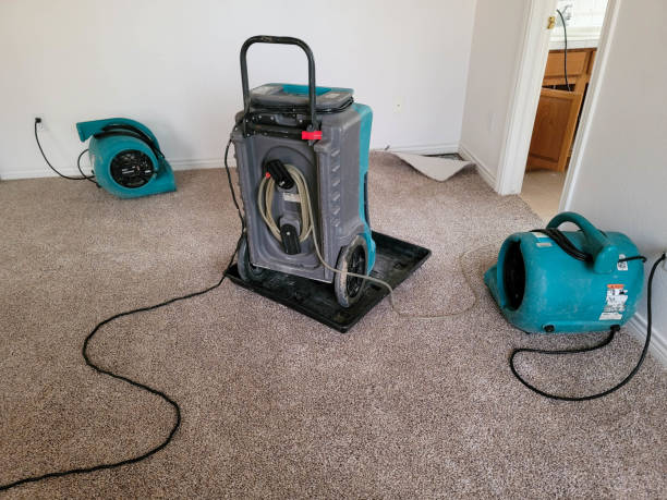 Best 24/7 water damage repair  in Pittsville, MD