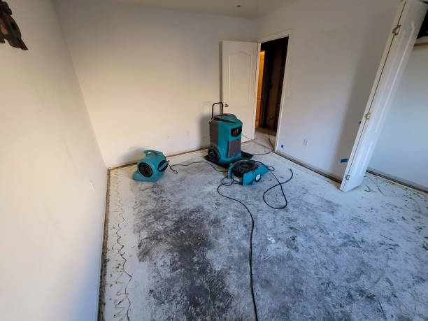 Best Flood damage cleanup  in Pittsville, MD