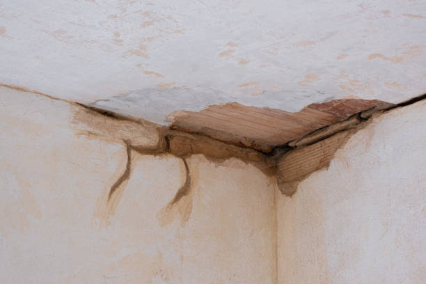 Carpet water damage restoration in MD