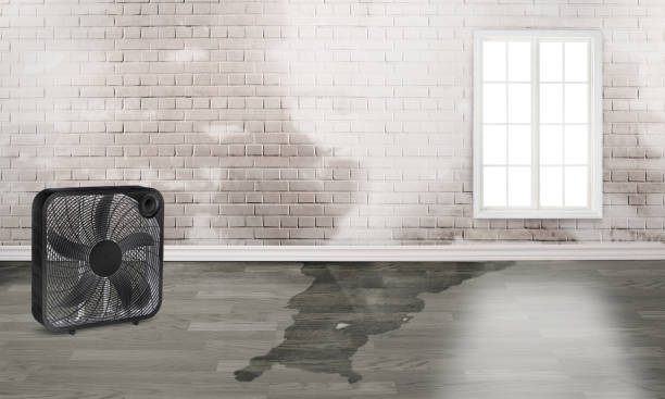 Best Flood restoration services  in Pittsville, MD