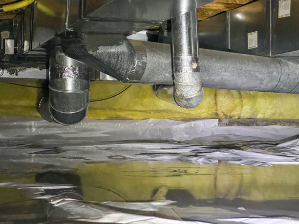 Best Professional water damage repair  in Pittsville, MD