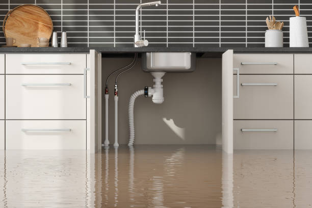 Best Water damage restoration near me  in Pittsville, MD