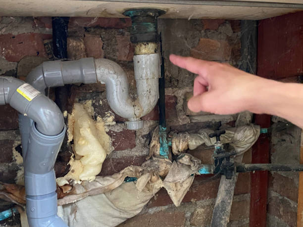 Best Local water damage restoration  in Pittsville, MD