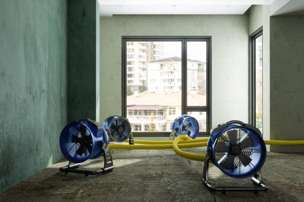 Best Water damage restoration company  in Pittsville, MD